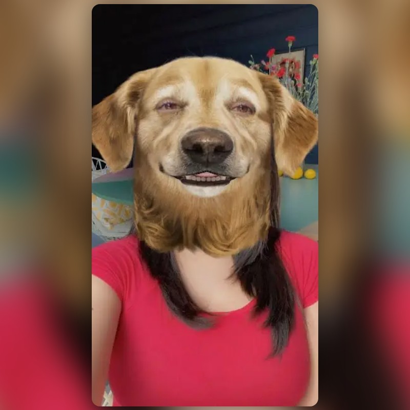 Smiley Dog Lens by Snapchat Snapchat Lenses and Filters