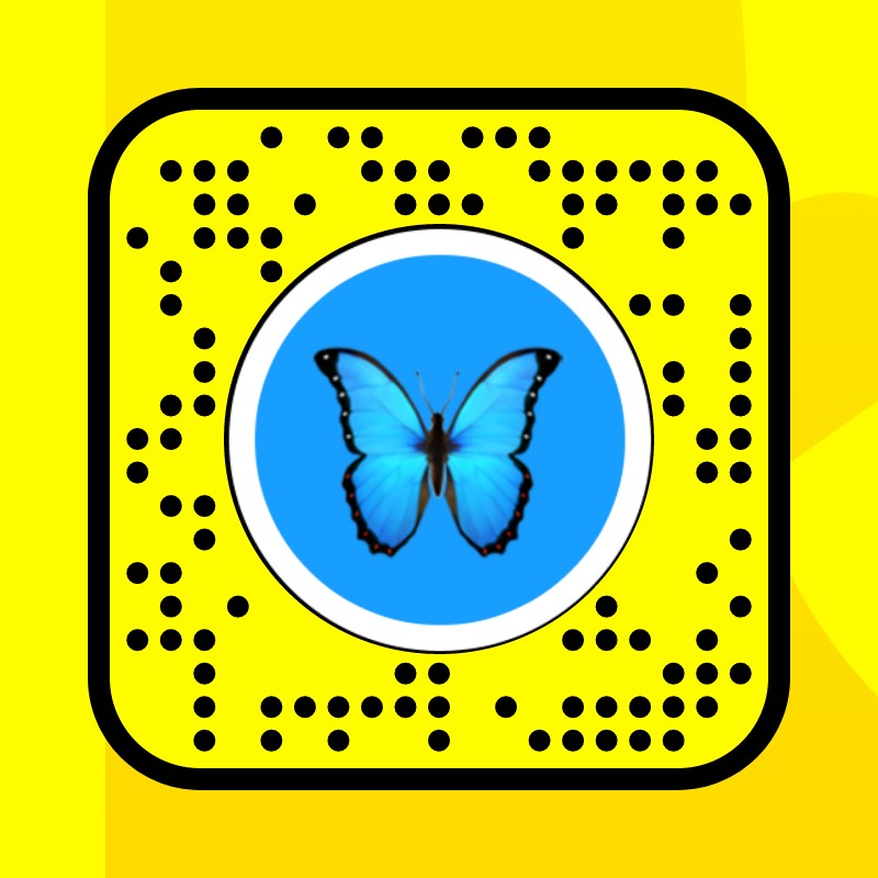 blue butterflies Lens by 𝙫𝙖𝙡 ☻ Snapchat Lenses and Filters