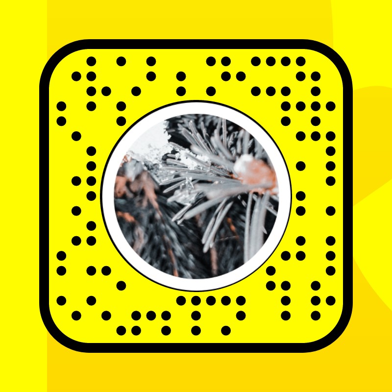 gray grass Lens by Krystian - Snapchat Lenses and Filters