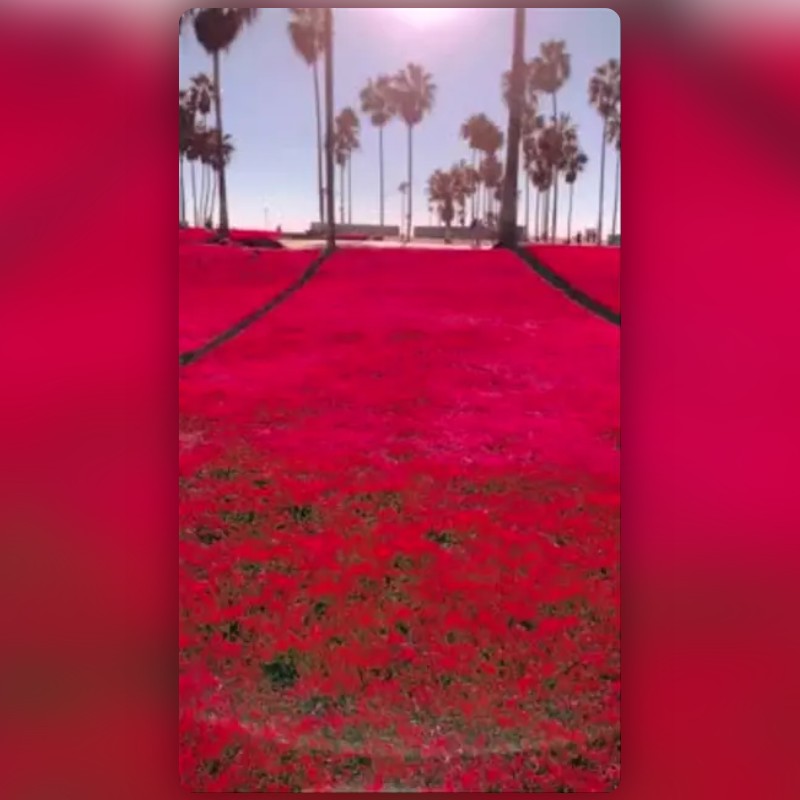เลนส์ pink สร้างโดย Mehran | مێهران - เลนส์และฟิลเตอร์ Snapchat