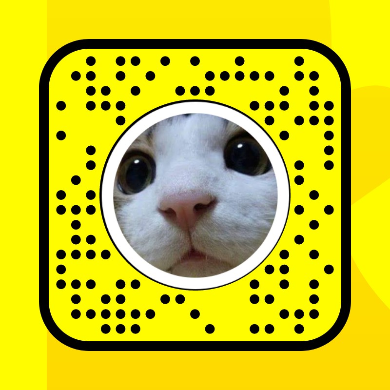 Angry Anime Cat - Snap Lens Finder