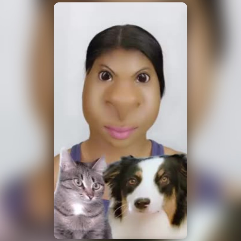 GOOFY AH FACE WARP Lens by Sky 🕷️ - Snapchat Lenses and Filters