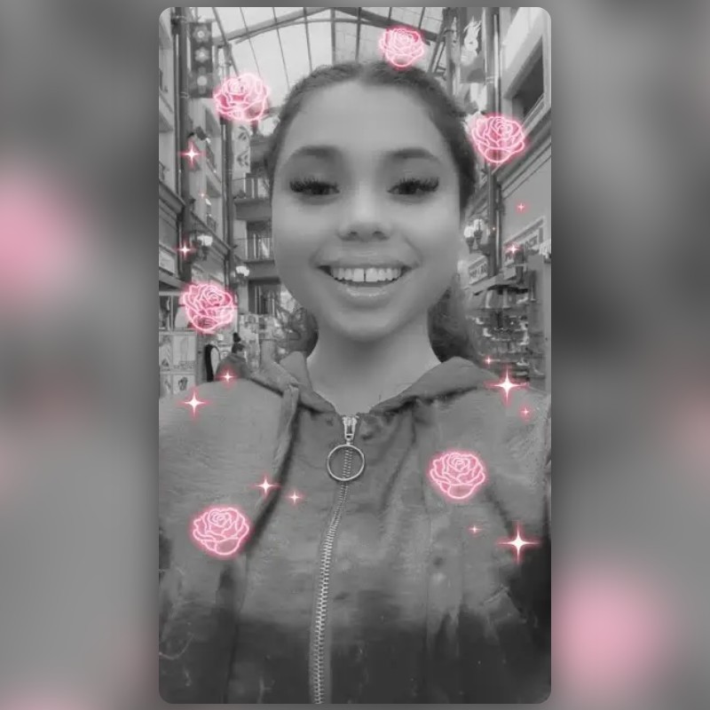 Sparkle Roses Lens by Snapchat Snapchat Lenses and Filters