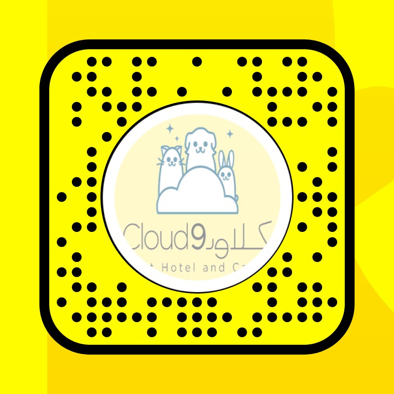 cloud 9 pet hotel Lens by 🧌 Snapchat Lenses and Filters