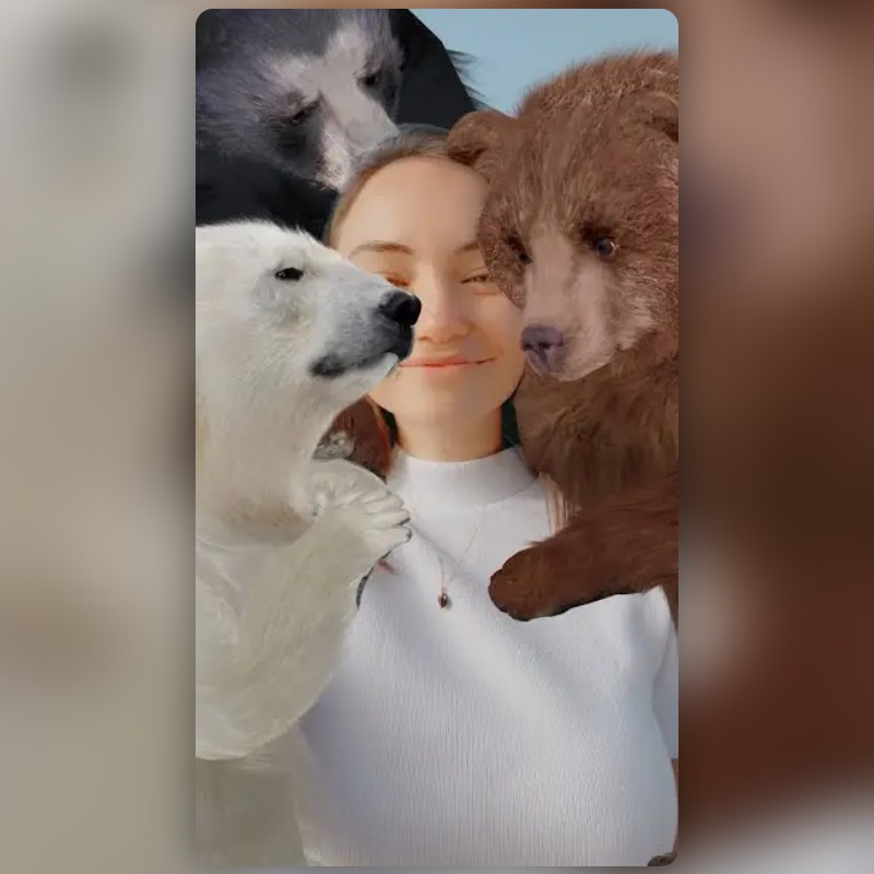 3 Little Bears Lens by Snapchat - Snapchat Lenses and Filters
