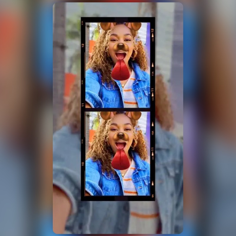 Snap Dog Collage Lens by Snapchat Snapchat Lenses and Filters