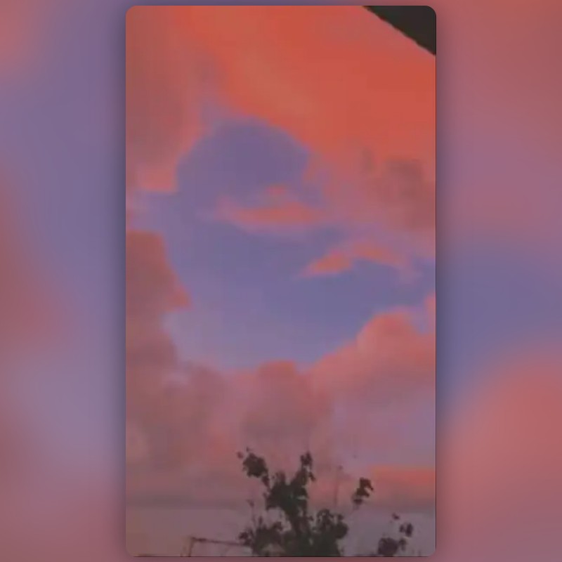 red rose filter Lens by Aurora ♡︎ Snapchat Lenses and Filters