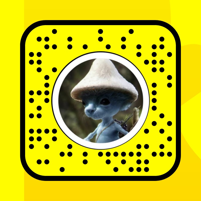 Smurf Cat Lens by Natalia Velazco - Snapchat Lenses and Filters