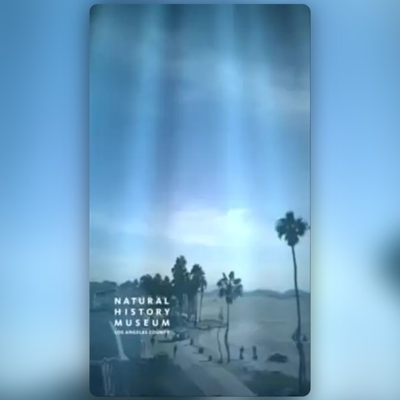 Whale Sky Lens by Natural History Museums of L.A Snapchat Lenses and