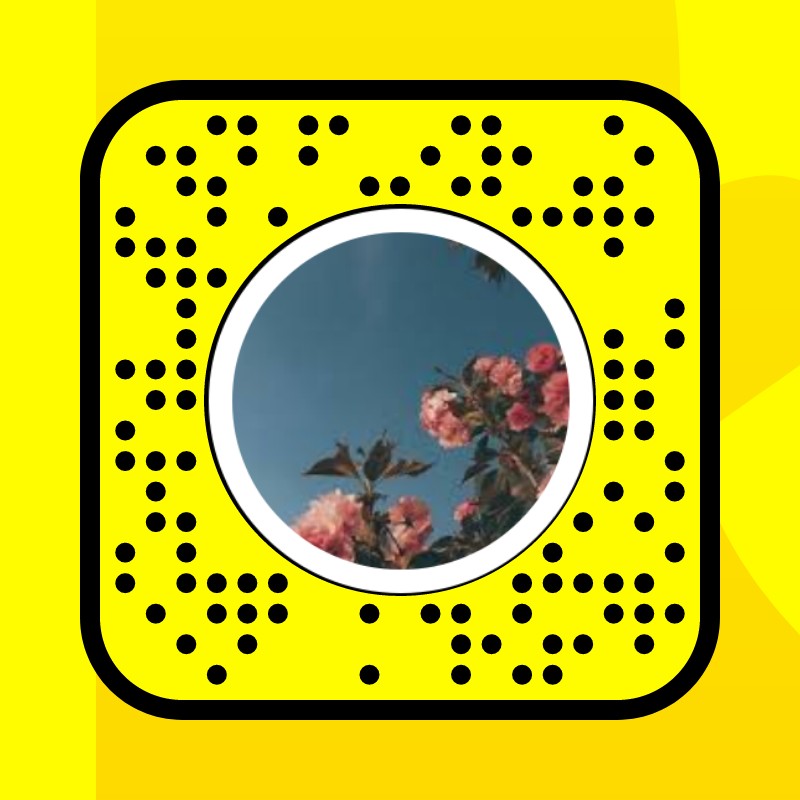 Natural with vhs Lens by mikayla m🤍 Snapchat Lenses and Filters