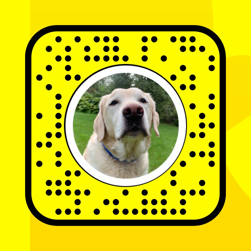 I LOVE DOGS Lens by Charley the Dog Snapchat Lenses and Filters