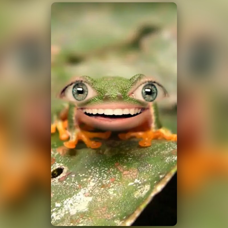 Funny Frog Lens by Snapchat Snapchat Lenses and Filters