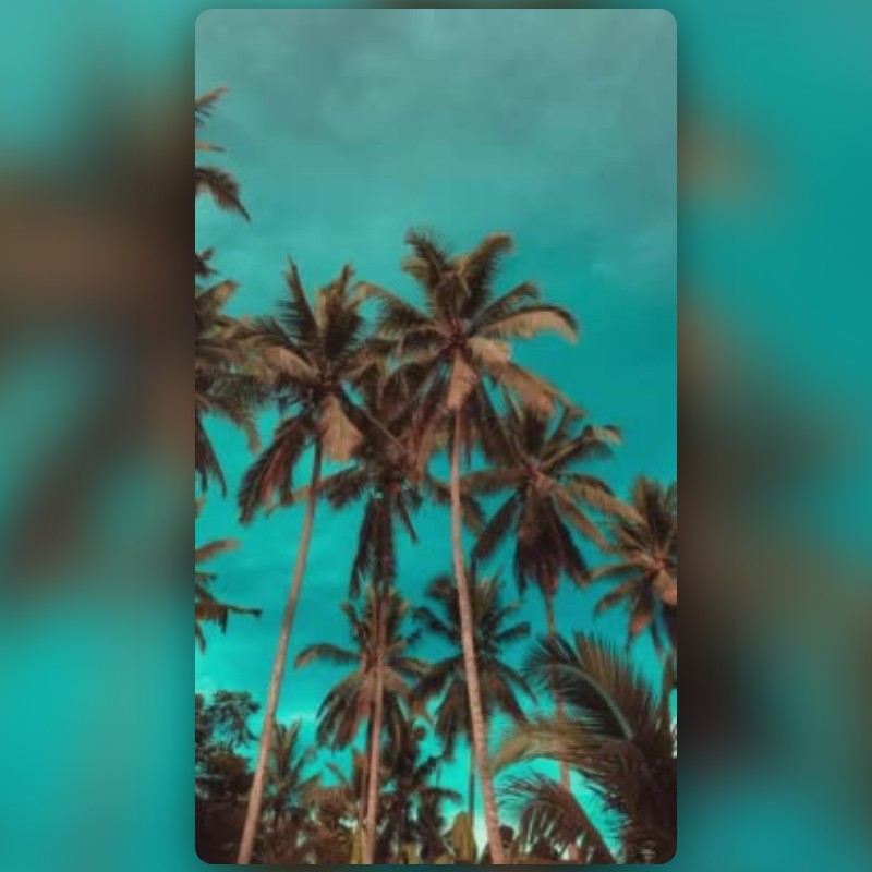 Orange and Teal Lens by 𝑀𝒾𝒽𝒾𝓇 ⚡️ - Snapchat Lenses and Filters