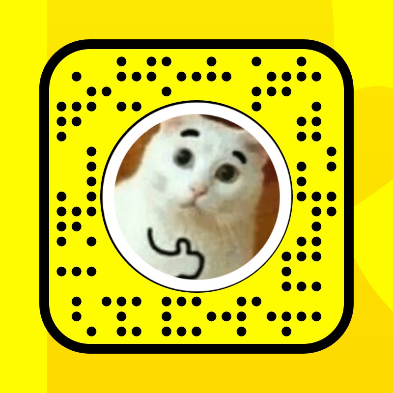 Face In Meme Cat Lens by Syur.24 - Snapchat Lenses and Filters