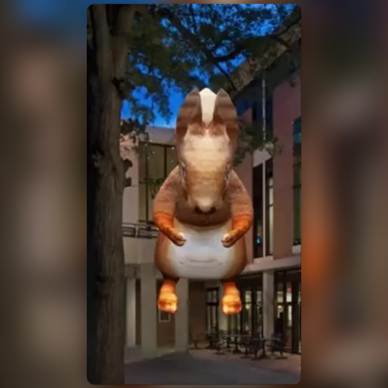 Squirrel Lens by Jonah Andrews Snapchat Lenses and Filters