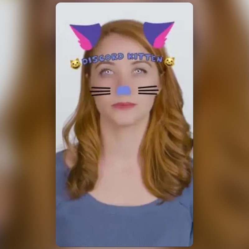 Discord Kitten Lens by Zach Schwartz Snapchat Lenses and Filters