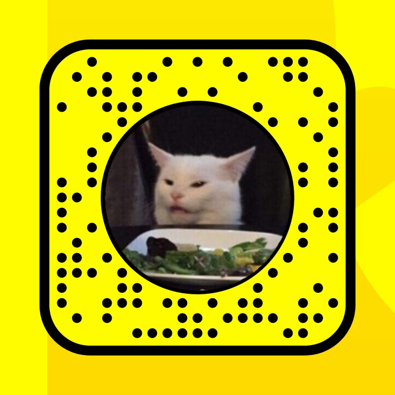Standing Cat Meme Lens by Insyira - Snapchat Lenses and Filters