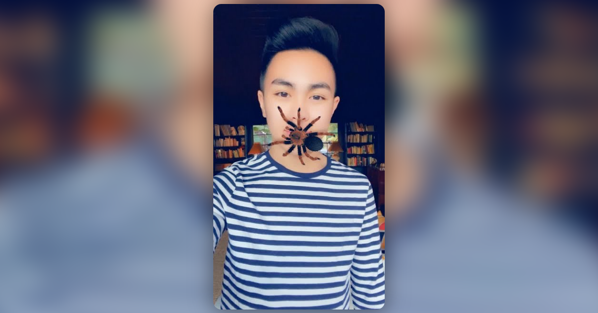 spider filter snapchat download
