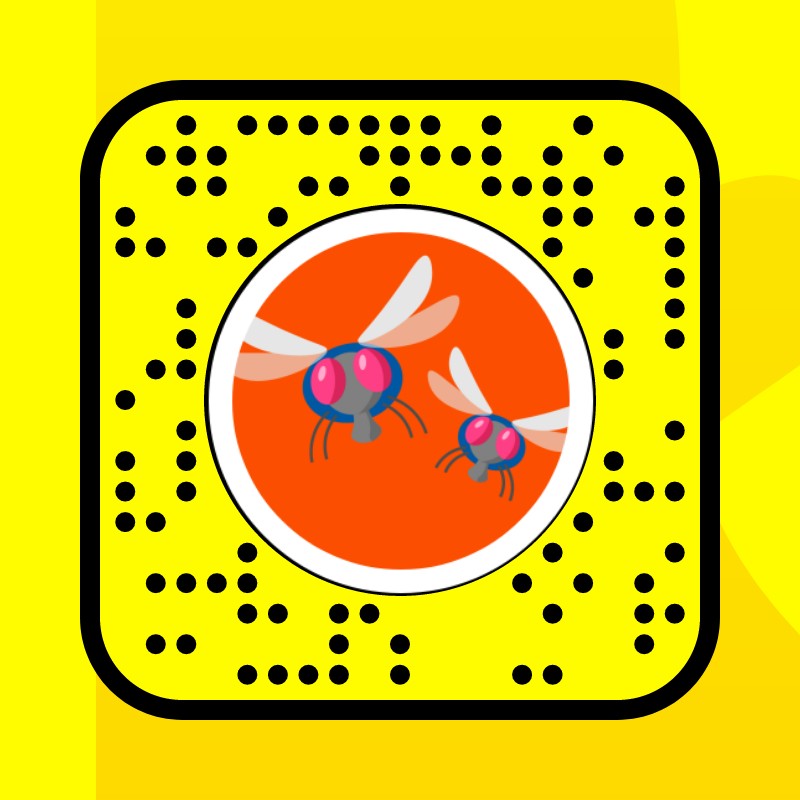 Slingshot vs Flies Lens by Jomo Games Snapchat Lenses and Filters