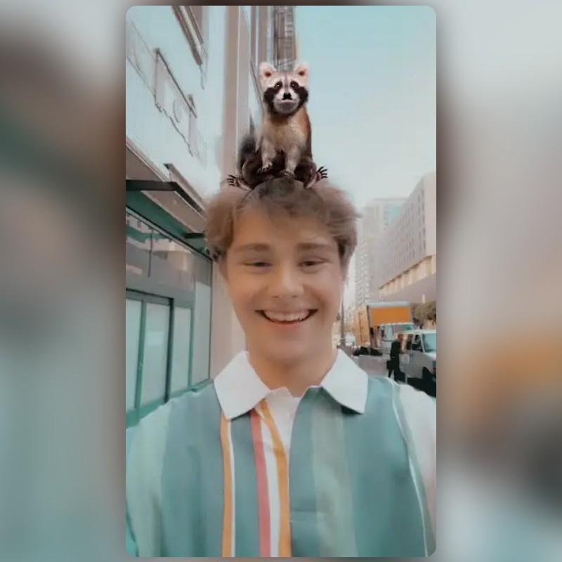 Cute Raccoon Lens by Snapchat Snapchat Lenses and Filters