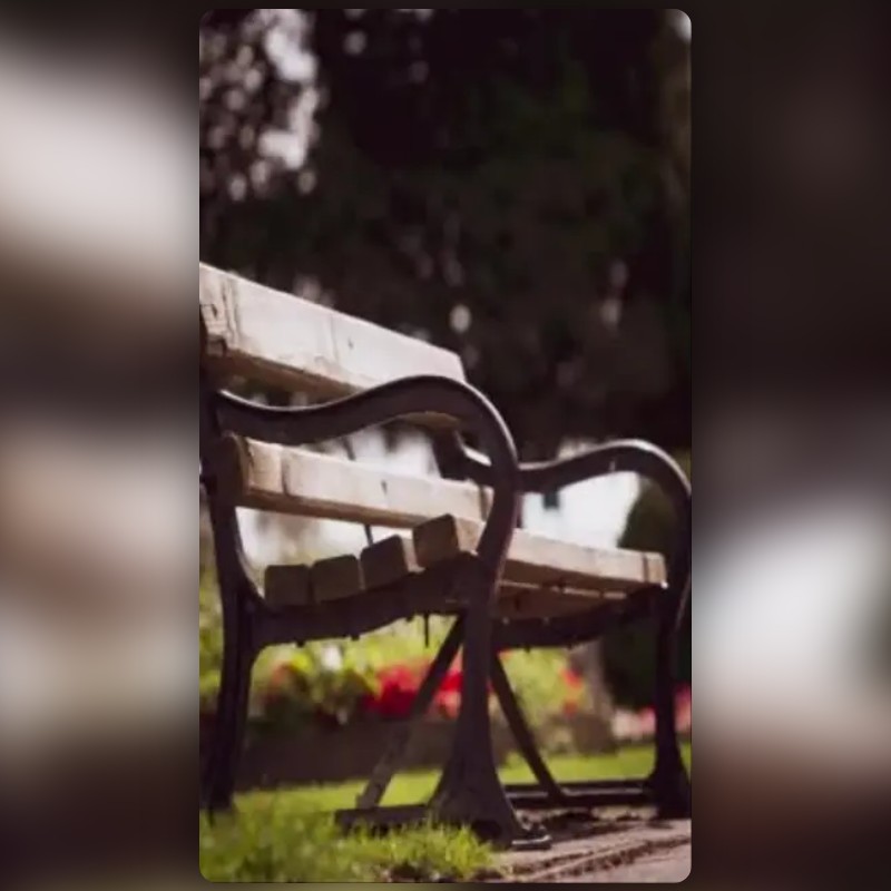 Bench & Park Filter by Dj Navi Jain | Snapchat Lenses