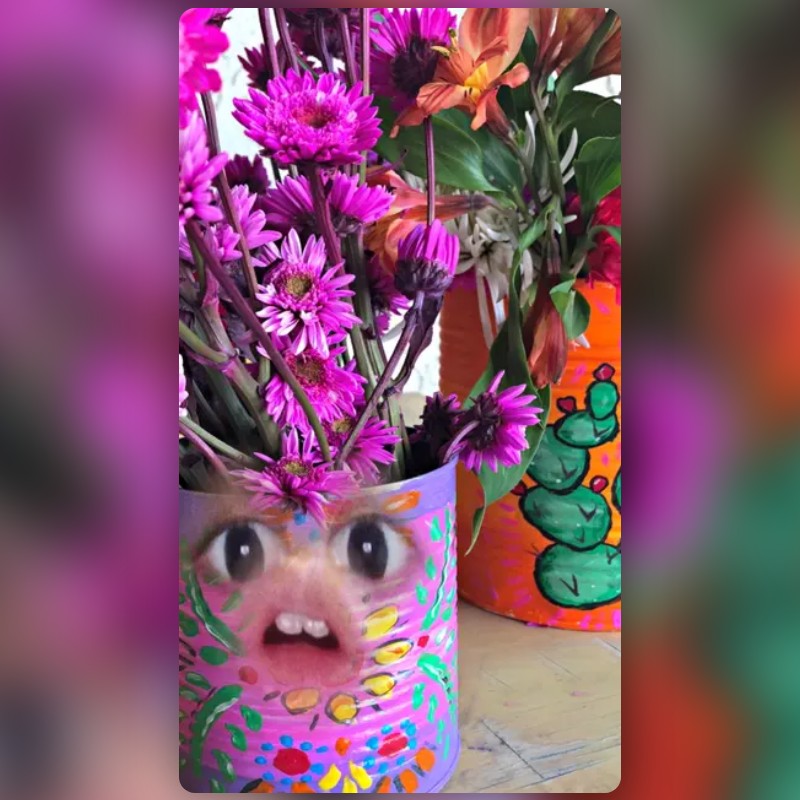 FLOWER CAN Lens by Alysha A Snapchat Lenses and Filters
