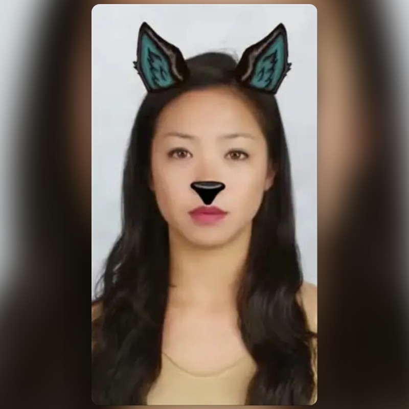 Fox Ears revamp Lens by Frank L Snapchat Lenses and Filters