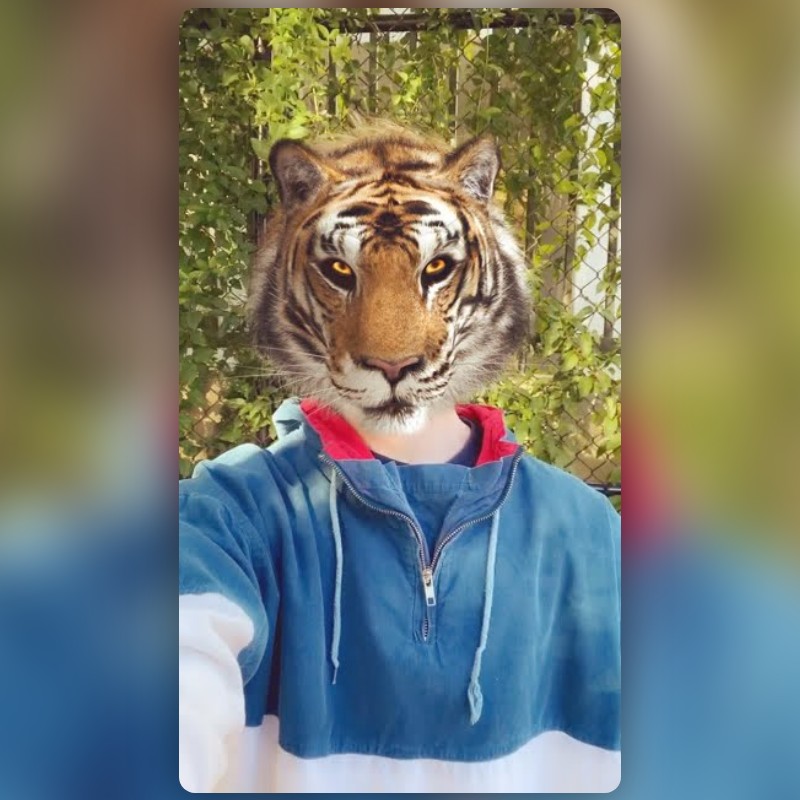 Tiger Lens by MSTER ⭐️ - Snapchat Lenses and Filters