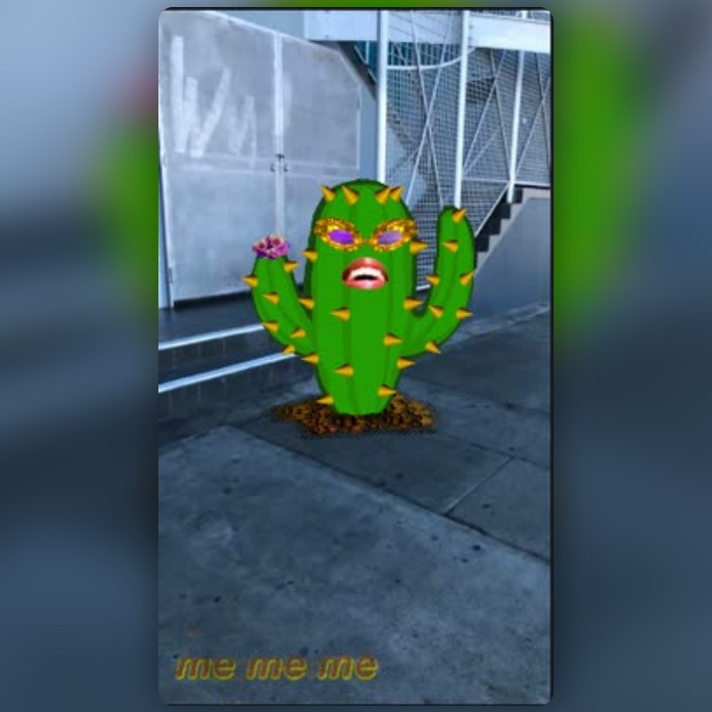 Cactus Lens By Tyleeseeuh - Snapchat Lenses And Filters