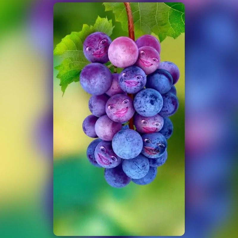由 Snapchat 創作的 Purple Grape 濾鏡 | Snapchat 特效鏡頭