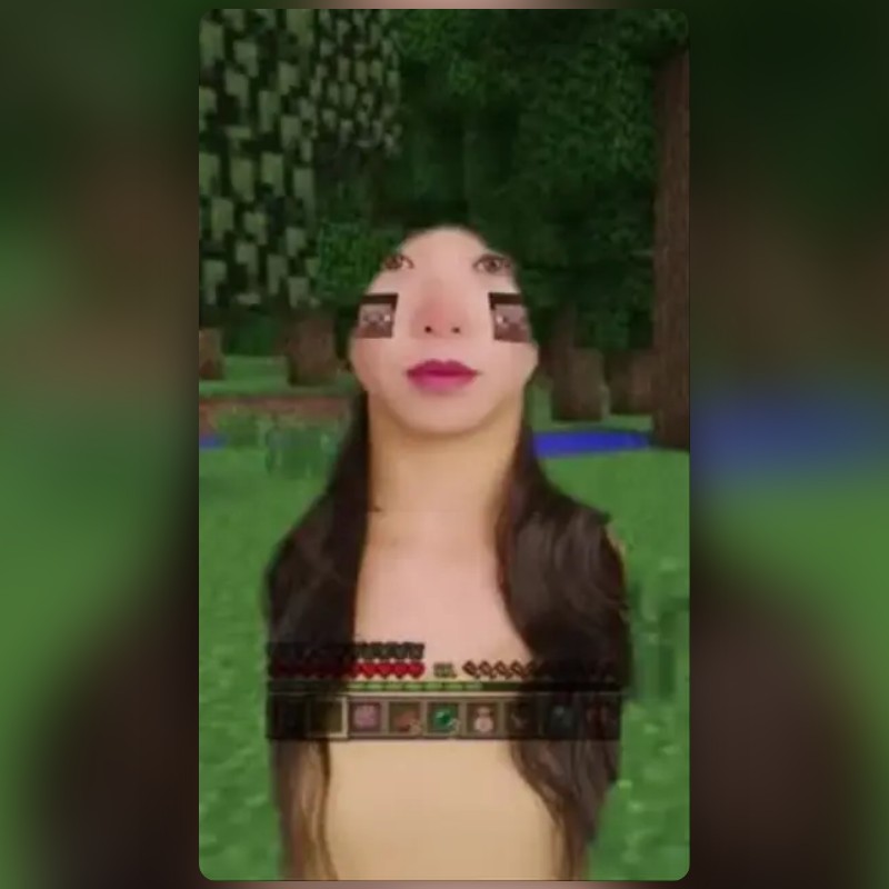 minecraft Lens by angu ) Snapchat Lenses and Filters