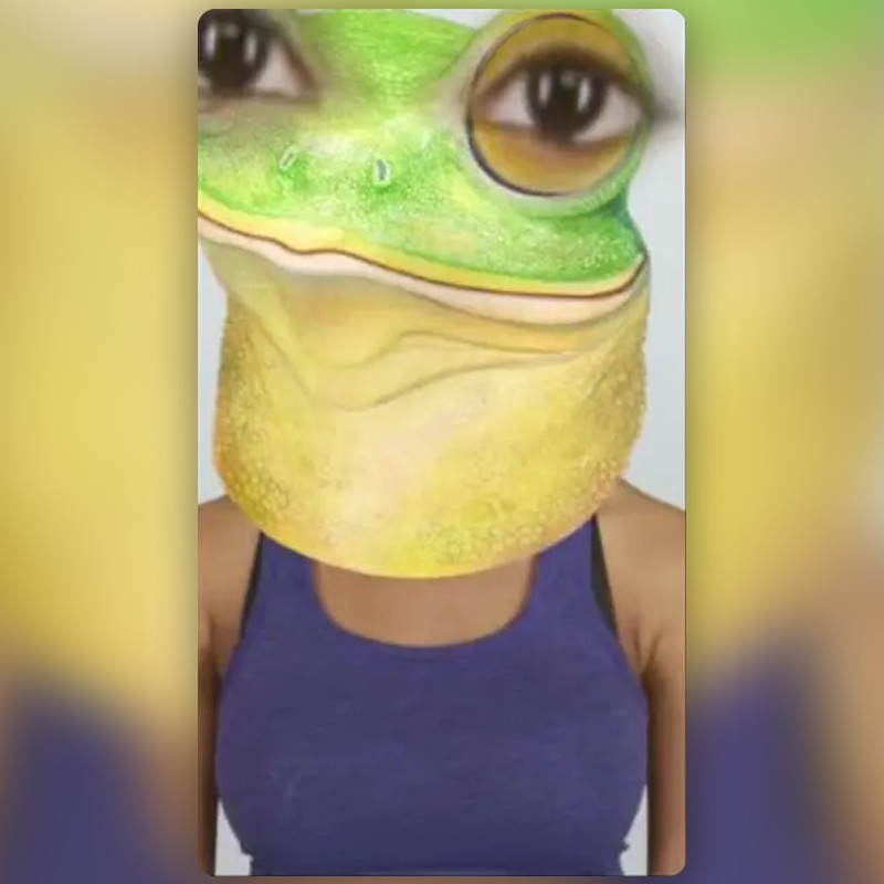 Funny Frog Face Lens by Danielle Grace Snapchat Lenses and Filters
