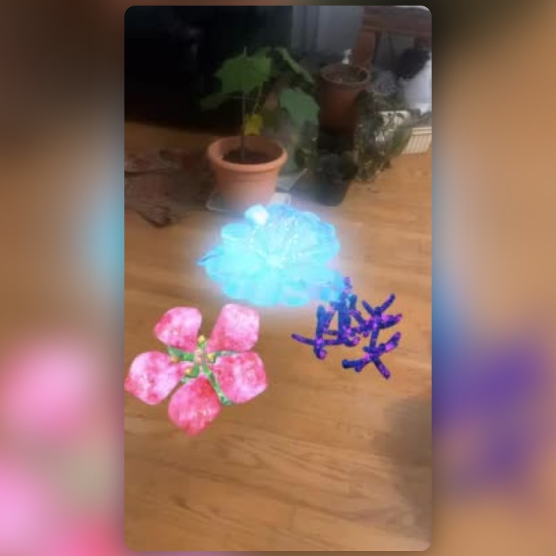 เลนส์ Glowing Flowers สร้างโดย Francis Chen เลนส์และฟิลเตอร์ Snapchat