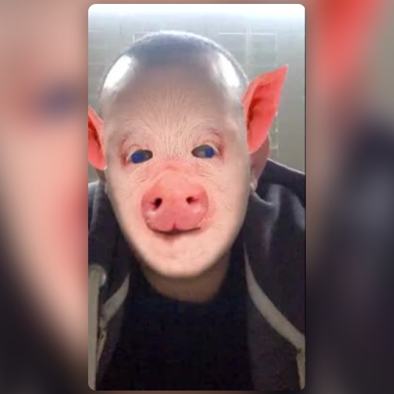 Piggy Wiggy Lens By Jp Pirie - Snapchat Lenses And Filters