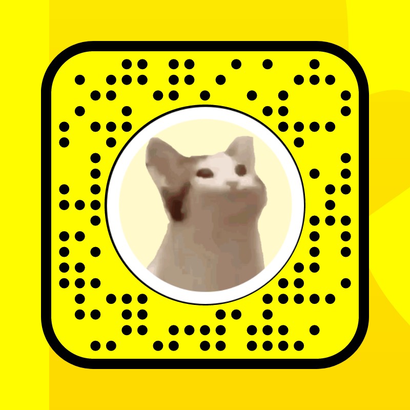 Cat vibing - bongo Lens by Prince 😼 - Snapchat Lenses and Filters