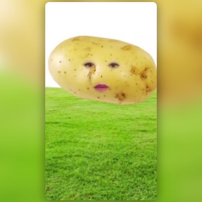 POTATO FACE Lens by Vedant Bhasal Snapchat Lenses and Filters POTATO FACE Lens by Vedant Bhasal Snapchat Lenses and Filters