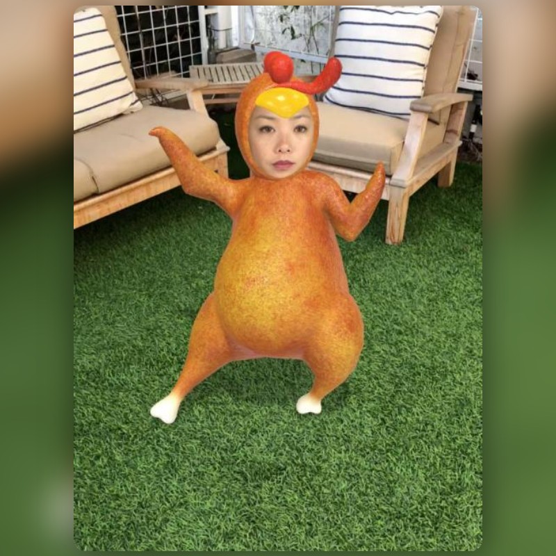 Snapchatが作成したTurkeyフィルター | Snapchatレンズ
