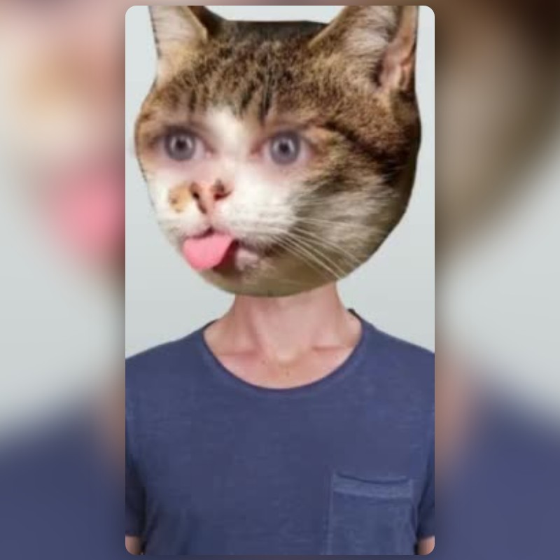 grumpy cat Lens by Gabie ꨄ - Snapchat Lenses and Filters