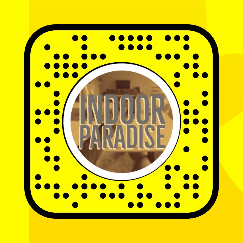 Indoor Paradise Lens by Magnus Snapchat Lenses and Filters