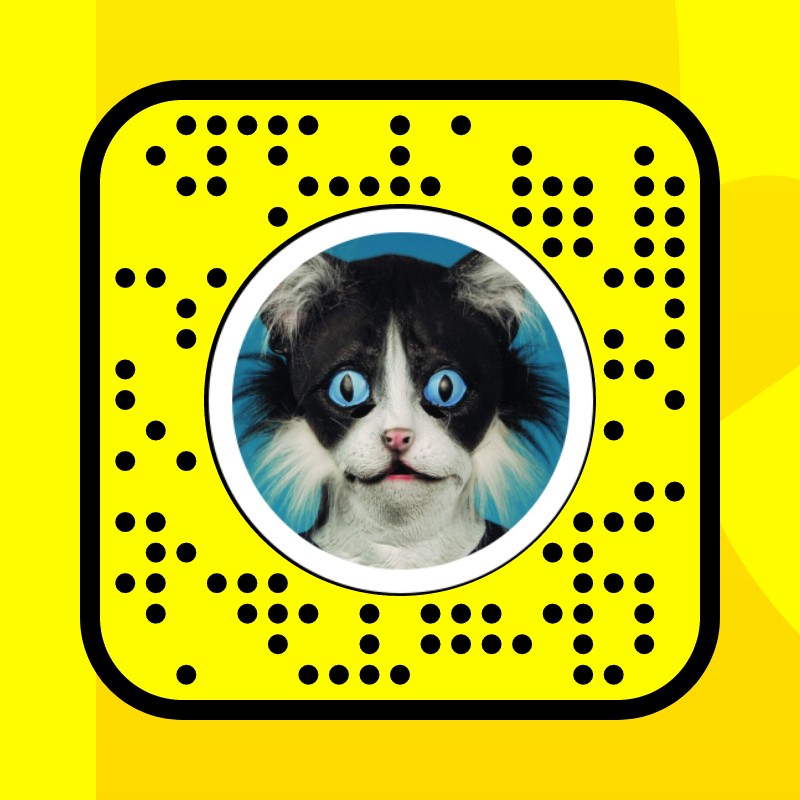 Angry Anime Cat - Snap Lens Finder