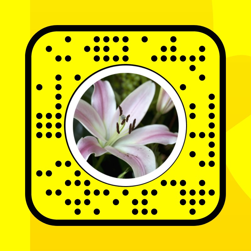 Lily Flower Lens by amara ) Snapchat Lenses and Filters