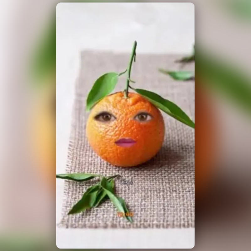 Annoying Orange Filter by SirQu3ntin | Snapchat Lenses