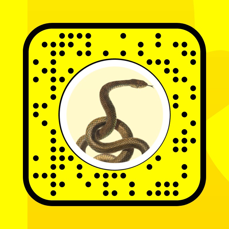 Snake Freckles Lens by tehilla fishman Snapchat Lenses and Filters