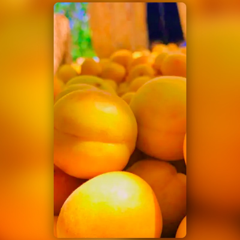 OUTDOOR ORANGE Filter by mashhoraiharty | Snapchat Lenses