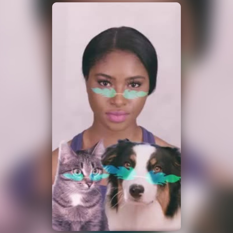 For Cats And Dogs Lens By Alx_vib3z - Snapchat Lenses And Filters