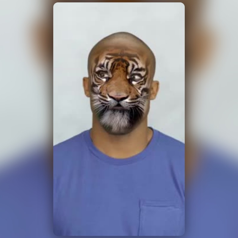 Tiger Lens by MSTER ⭐️ - Snapchat Lenses and Filters
