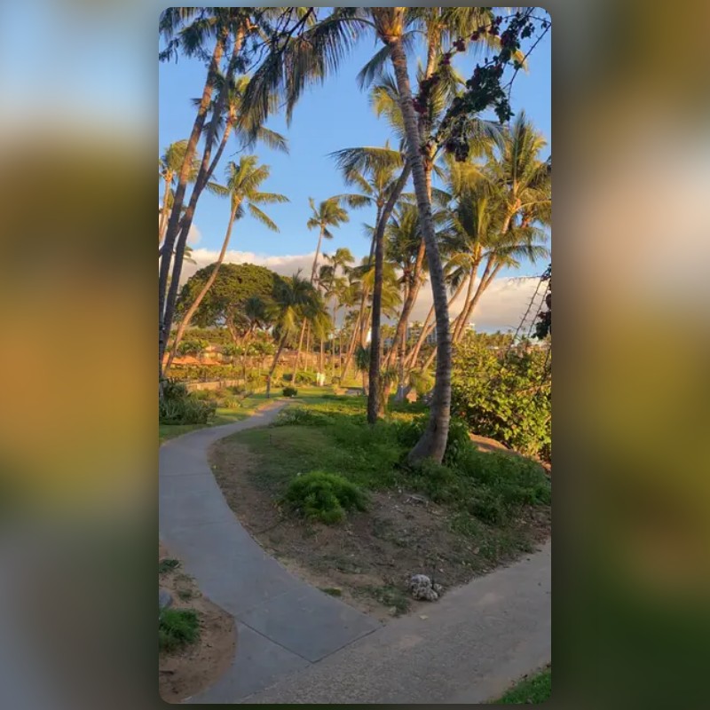 Hawaii 1 Lens by • crispy • Snapchat Lenses and Filters