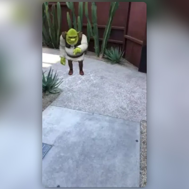 Shrek Poke Lens by Wilson Davenport - Snapchat Lenses and Filters