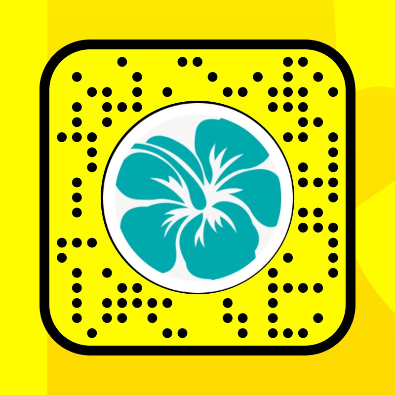 Hawai flreckles Lens by Lise Snapchat Lenses and Filters