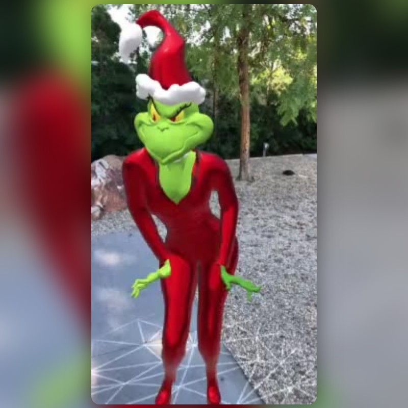 YASSIFIED GRINCH Lens by Maxim Kuzlin - Snapchat Lenses and Filters